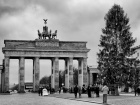 Berlino 2011